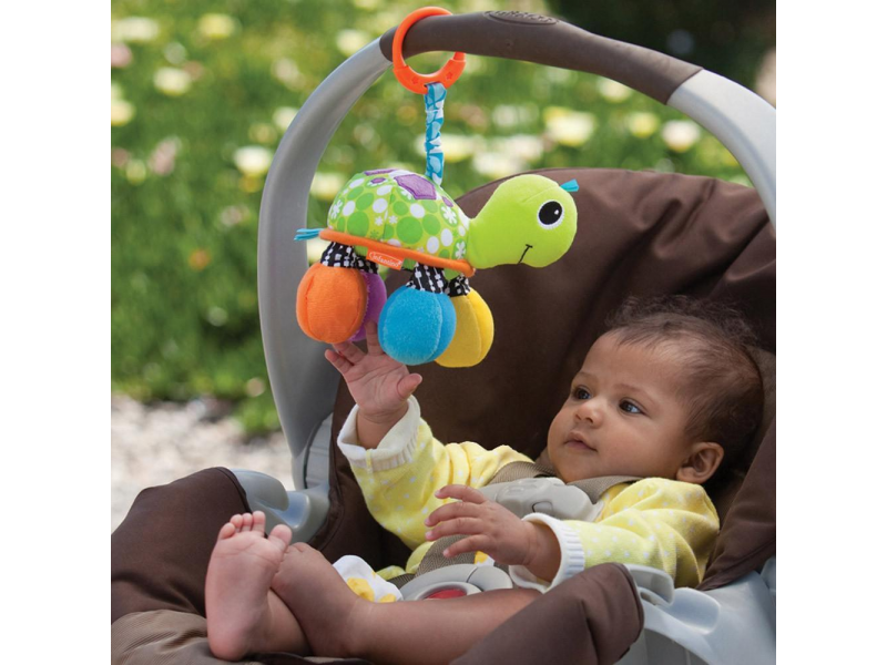 Závěsná želva se zrcátkem