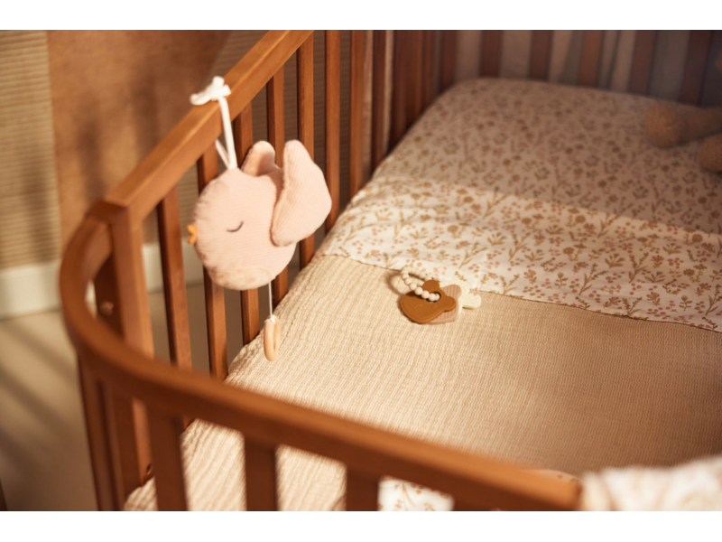 Hudební ptáček Lovely Birds