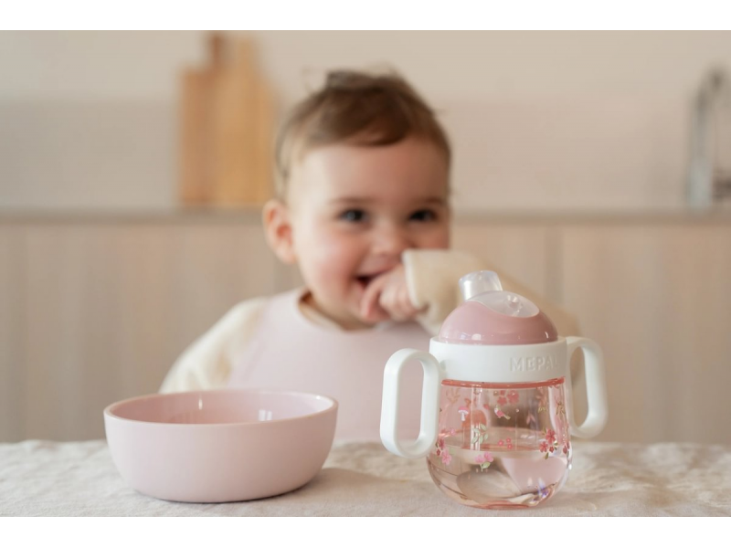 Hrnek s pítkem 200 ml Fairy Garden