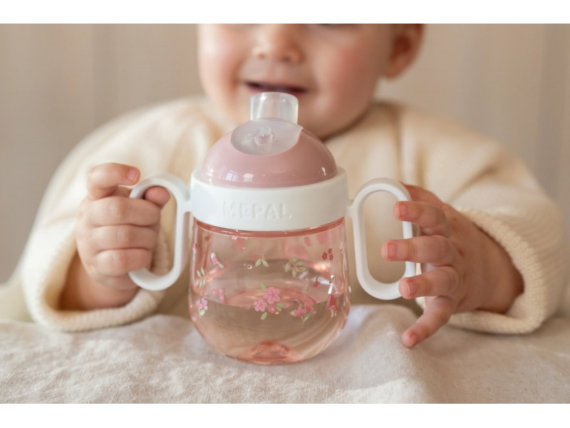 Hrnek s pítkem 200 ml Fairy Garden