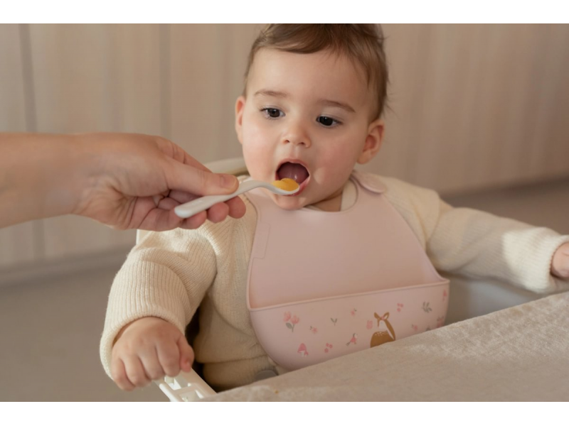 Lžičky 2 ks s pouzdrem Fairy Garden