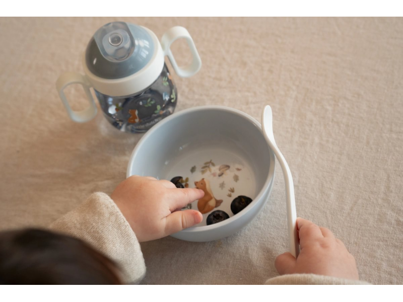 Lžičky 2 ks s pouzdrem Forest Friends