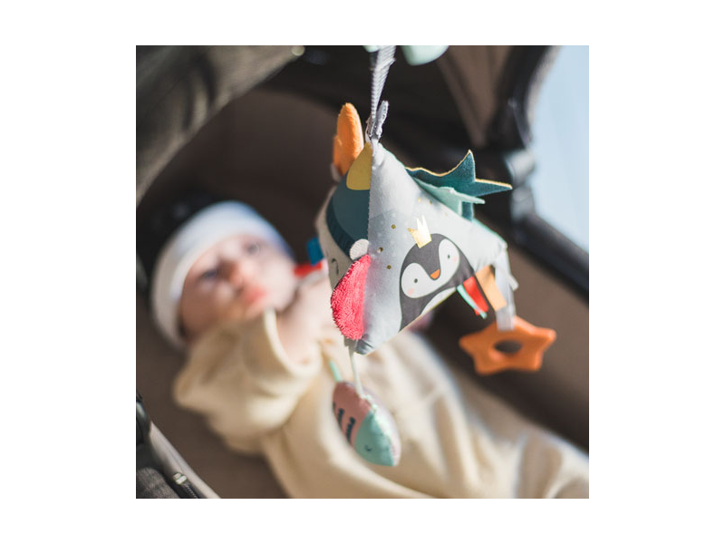 Pyramida Severní pól