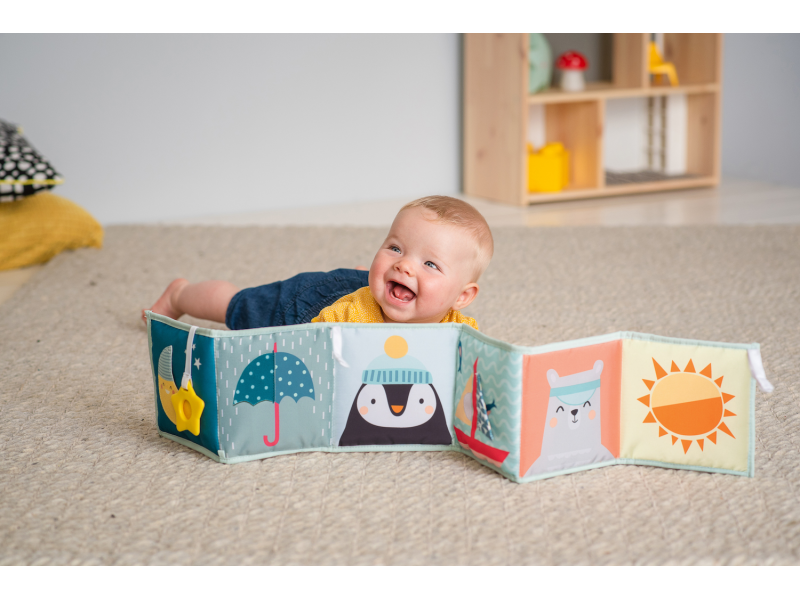 Knížka pro nejmenší Severní pól