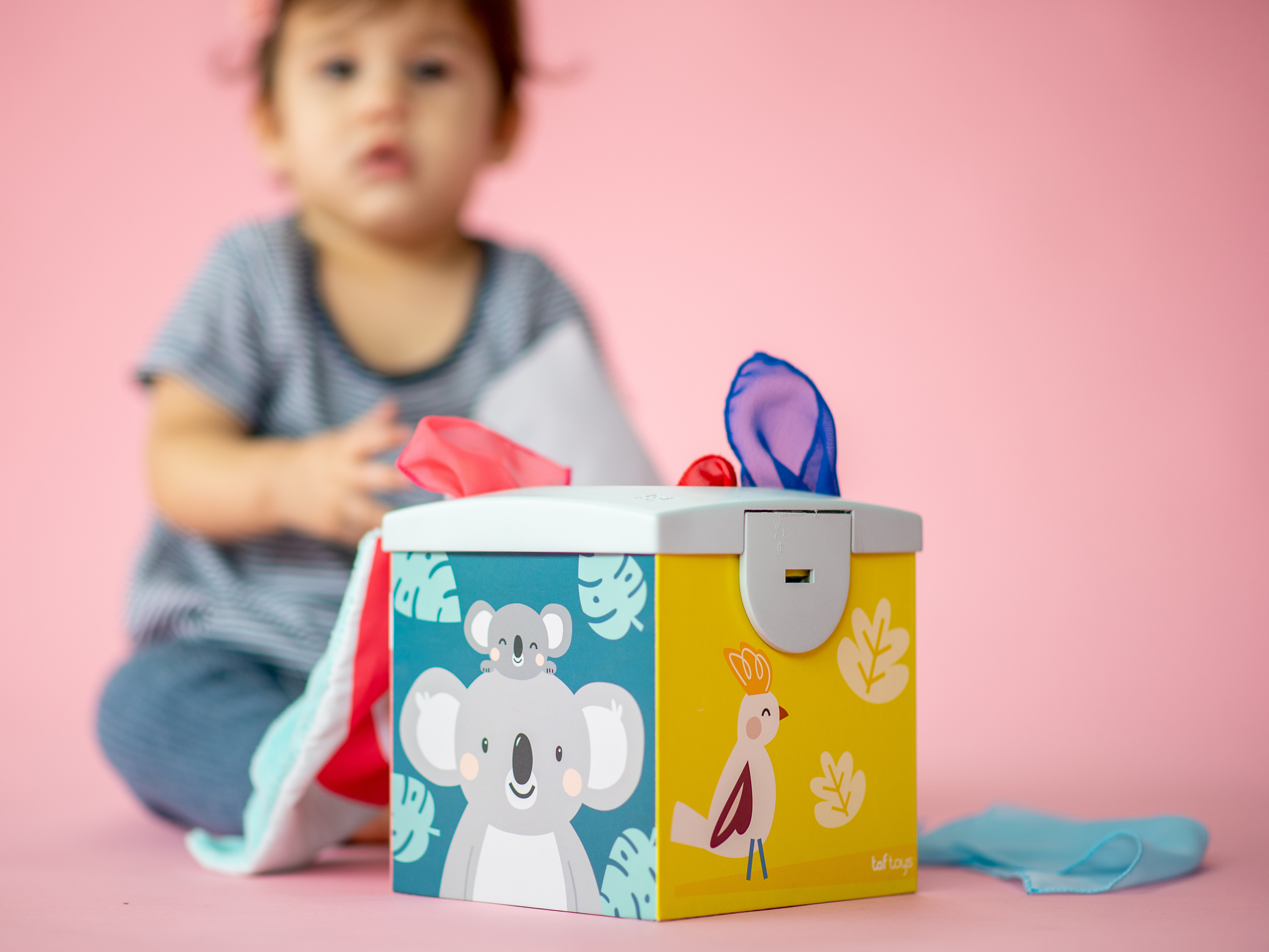 Box s šátky Koala Kimmi