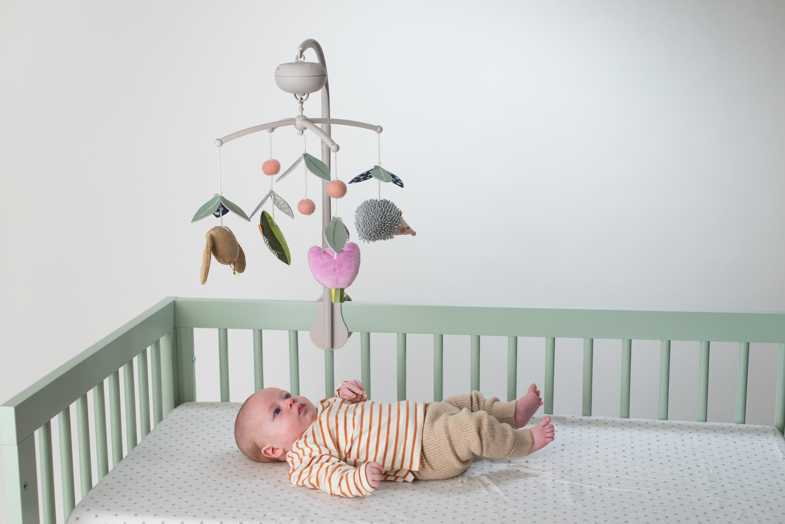 Taf Toys Hudební kolotoč Zahrada