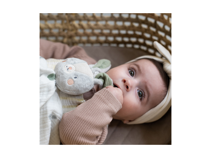 Muchláček králíček Rylee