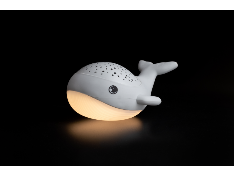 Noční světlo s projekcí WILLY WHALE