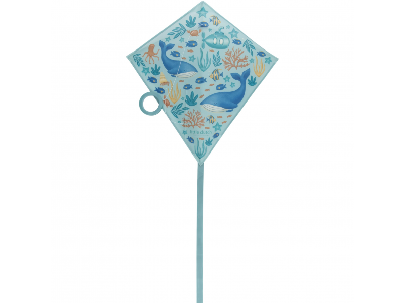 Létající drak Ocean World