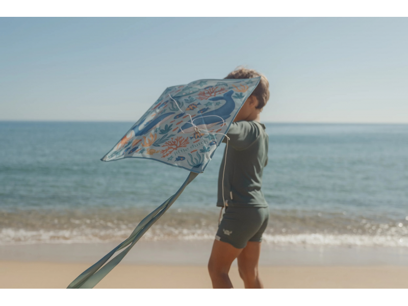 Létající drak Ocean World