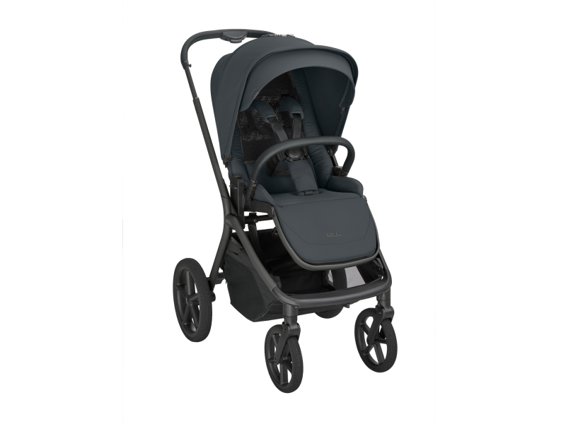 Kočárek 2v1 Goya Platinum Graphite
