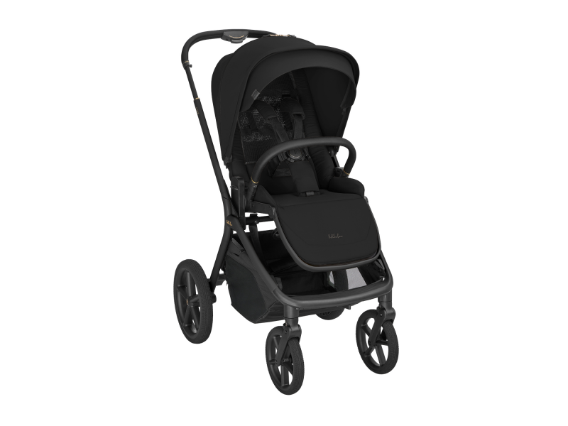 Kočárek 2v1 Goya Platinum Black