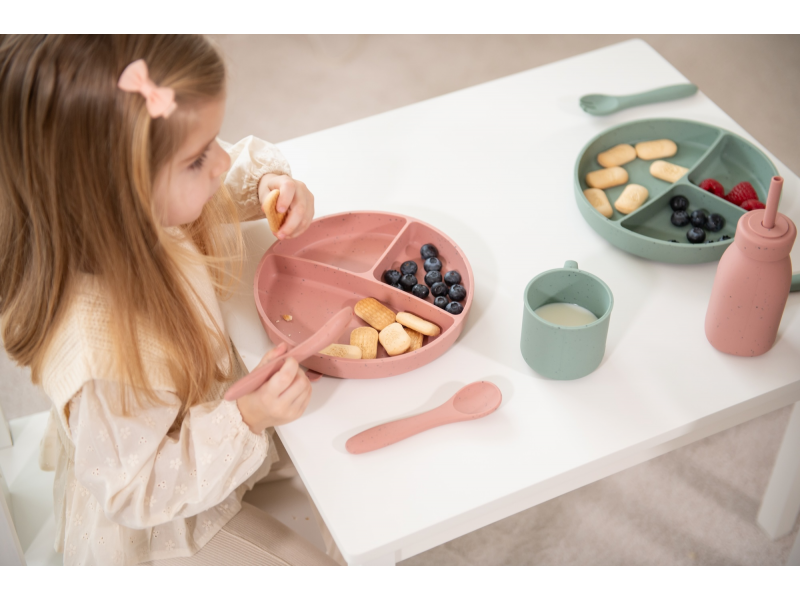 Talíř dělený s přísavkou Platinum Silicone Sage