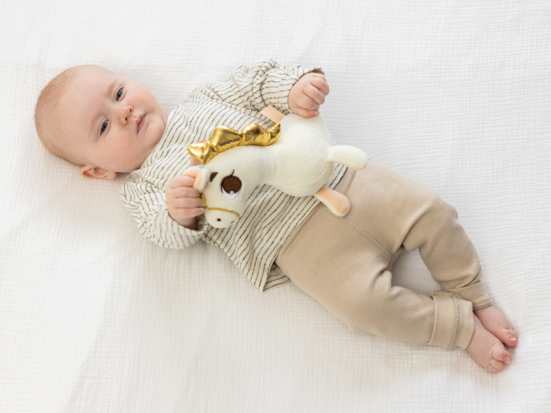 Závěsná hudební hračka Unicorn Wonderlands