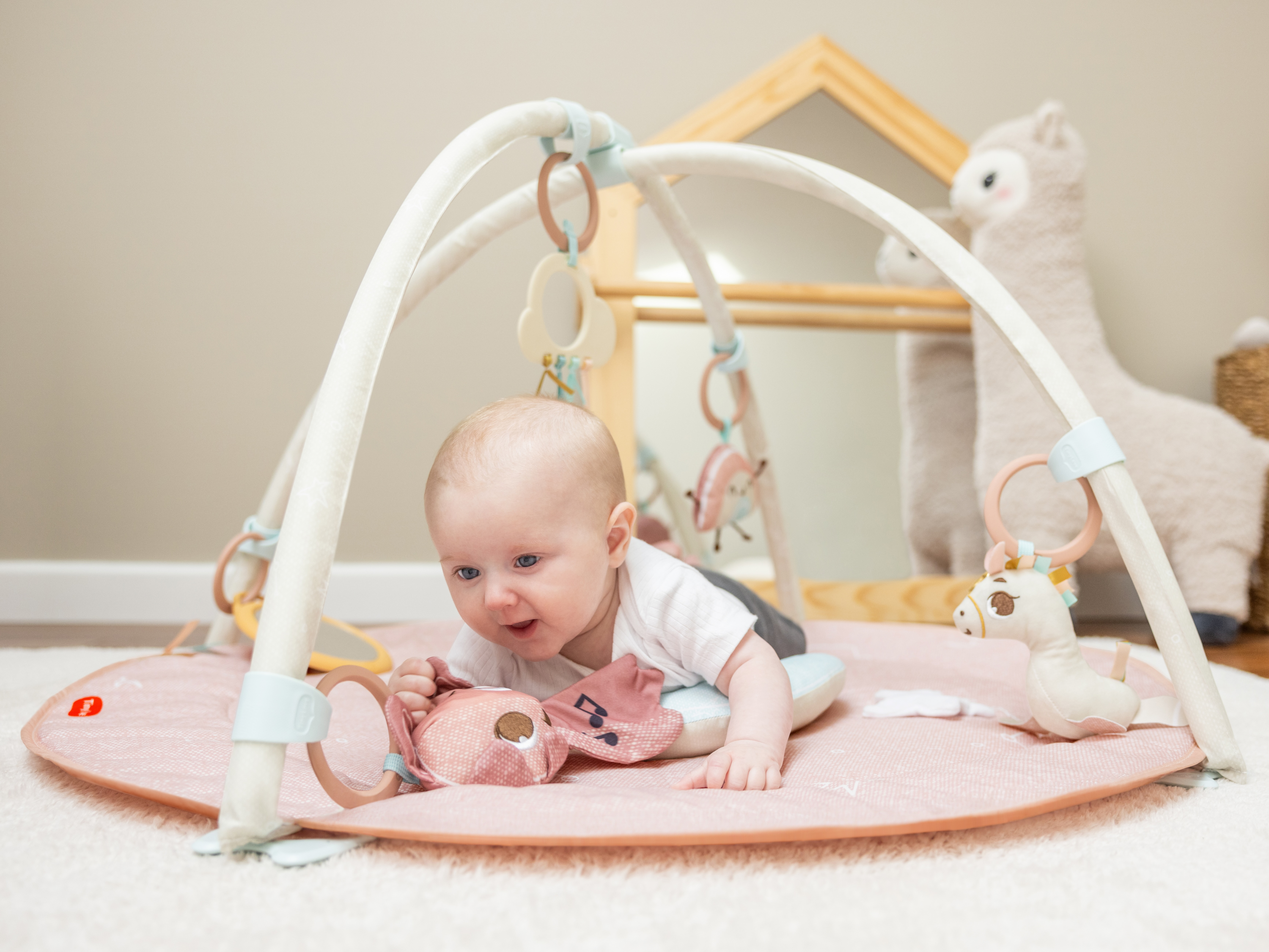 Hrací deka s hrazdou Gymini Unicorn Wonderlands