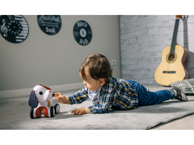 Pejsek jezdicí Charlie Tiny Rockers