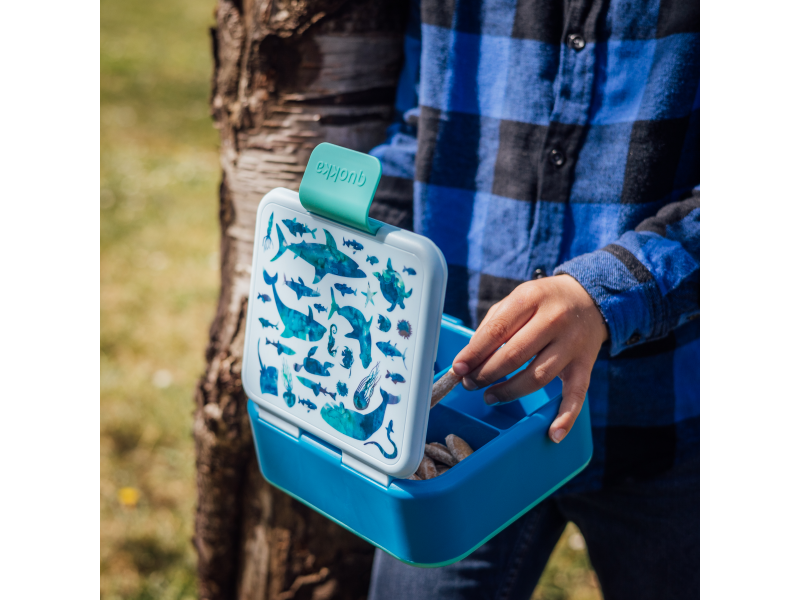 Plastový box na svačinu Twist Kids Sea Animals