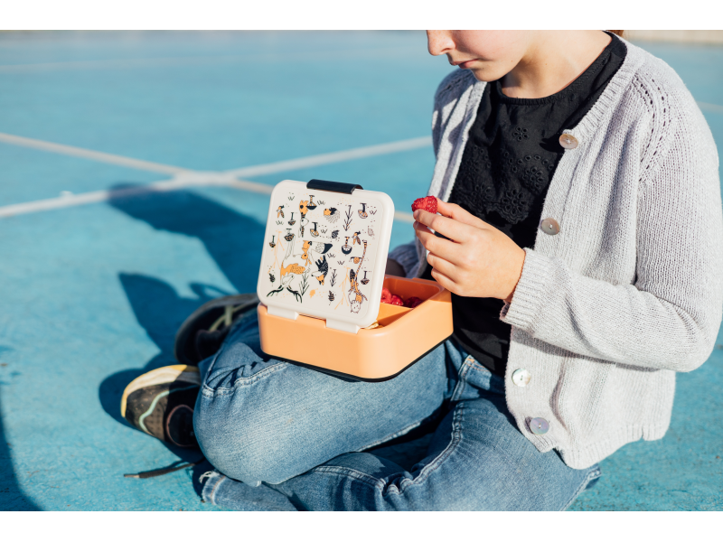 Plastový box na svačinu Twist Kids In the Woods