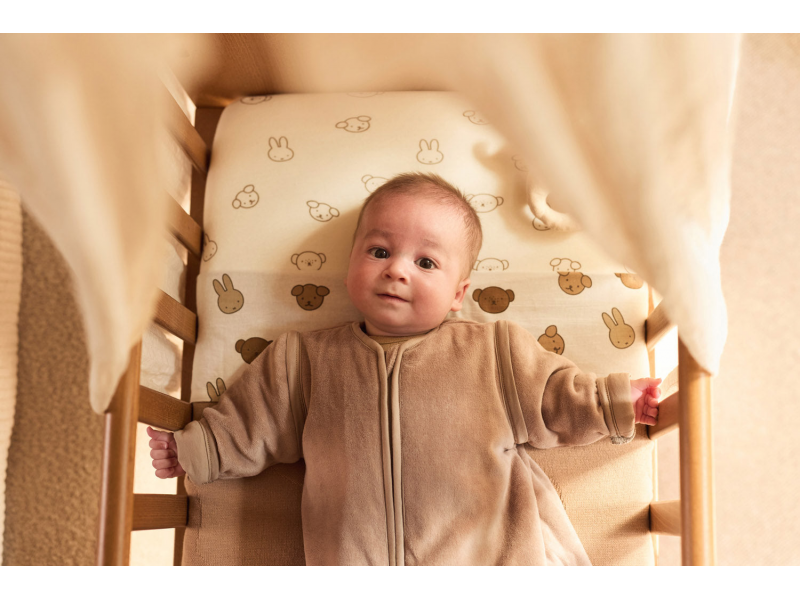 Prostěradlo napínací 120x60 cm Miffy & Friends