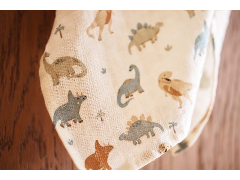 Pleny zavinovací 2ks 115x115 cm Roarsome