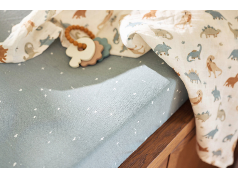 Pleny zavinovací 2ks 115x115 cm Roarsome