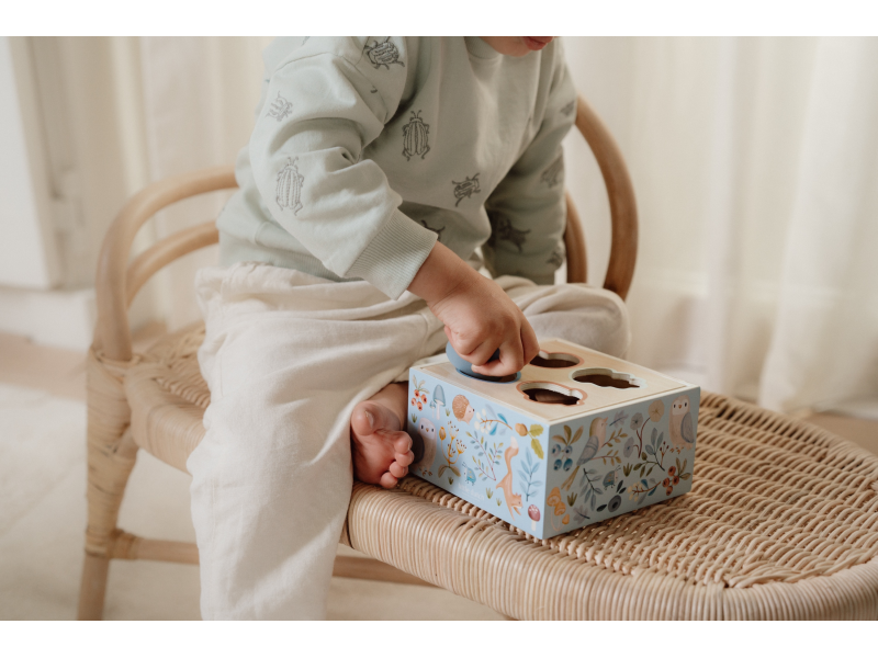 Vkládačka dřevěná Forest Friends