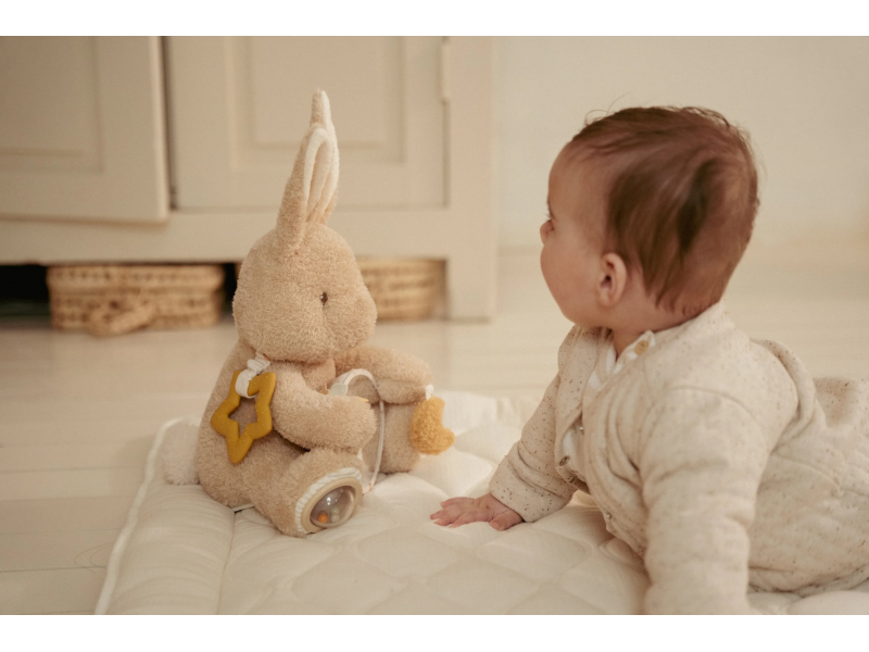 Králíček plyšový s aktivitami Newborn Naturals