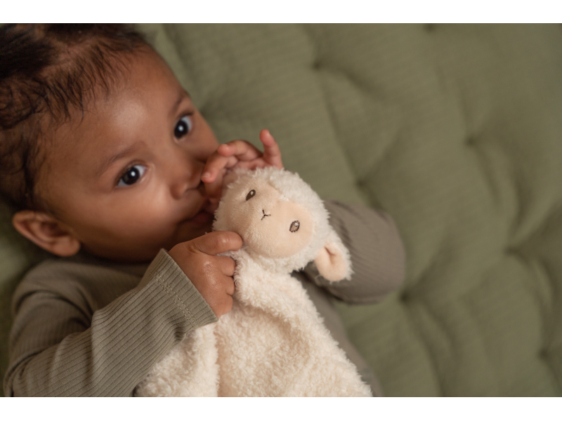 Muchláček ovečka Farma