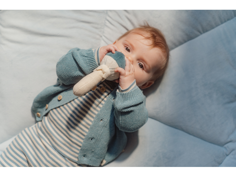 Chrastítko houba Forest Friends