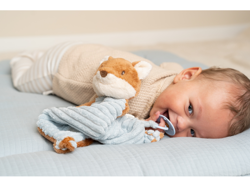 Muchláček liška Forest Friends