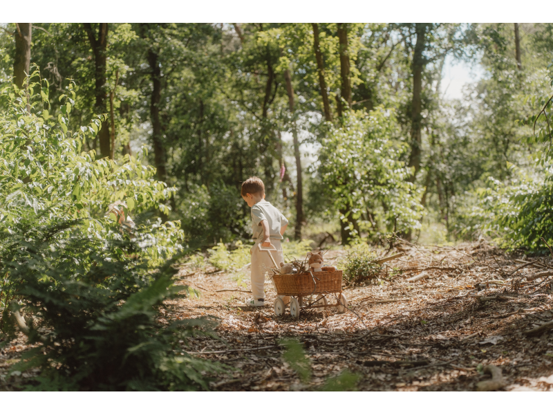 Liška plyšová Forest Friends