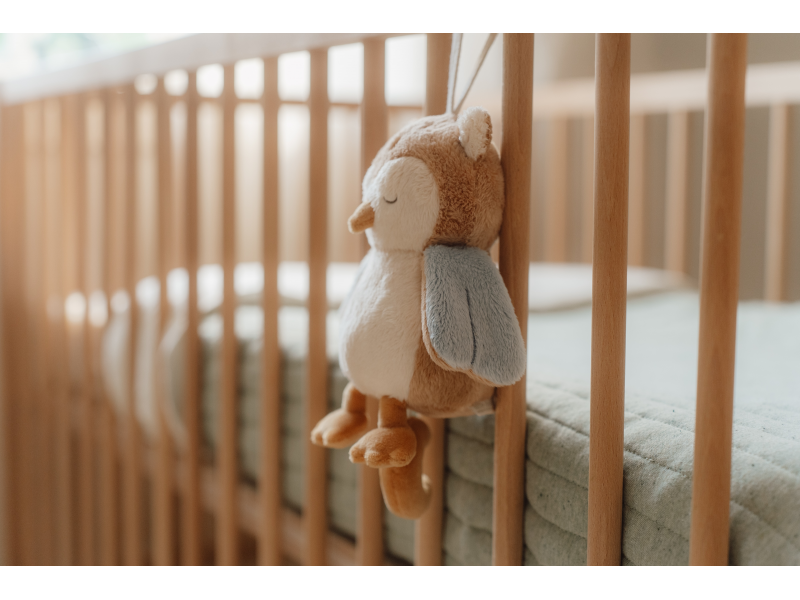 Hudební sova Forest Friends