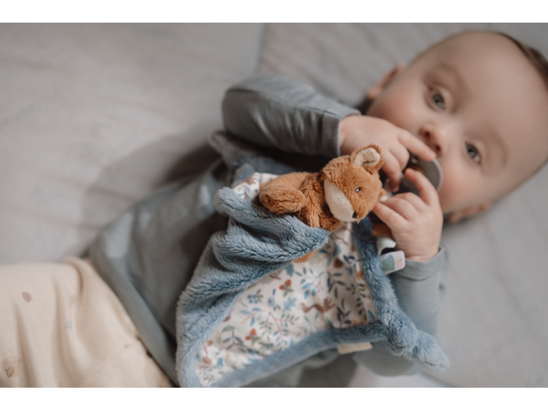 Muchláček s liškou Forest Friends