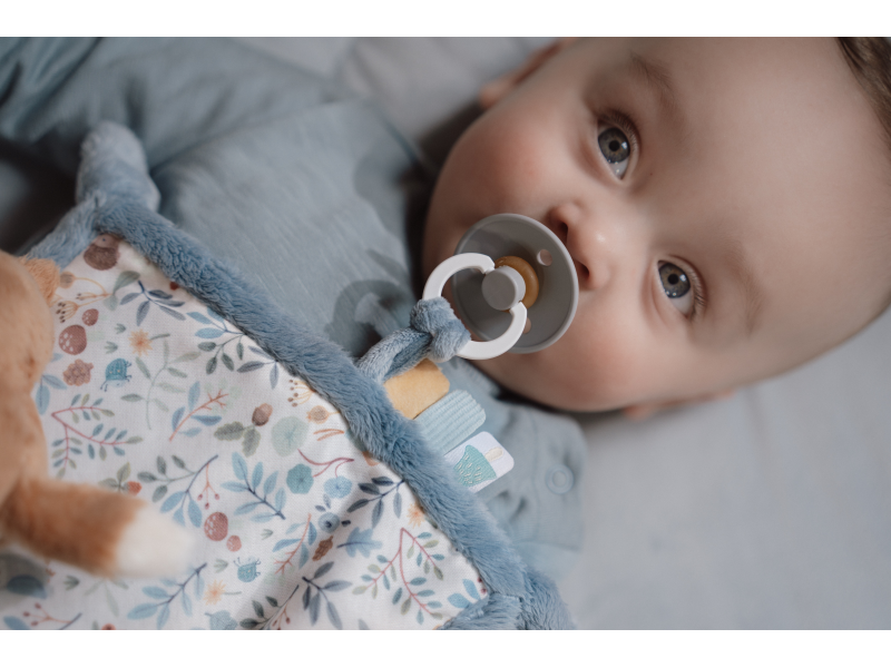 Muchláček s liškou Forest Friends