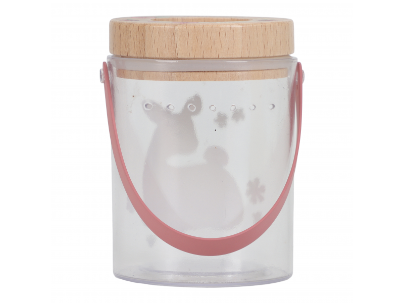 Nádoba na hmyz Fairy Garden