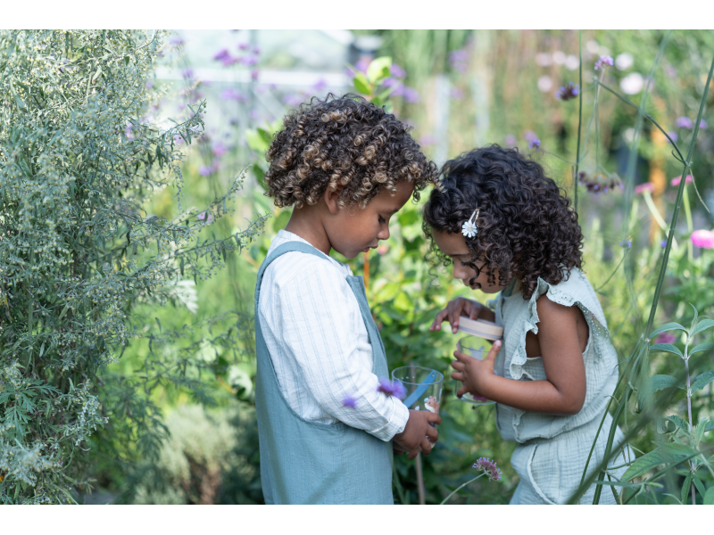 Nádoba na hmyz Forest Friends