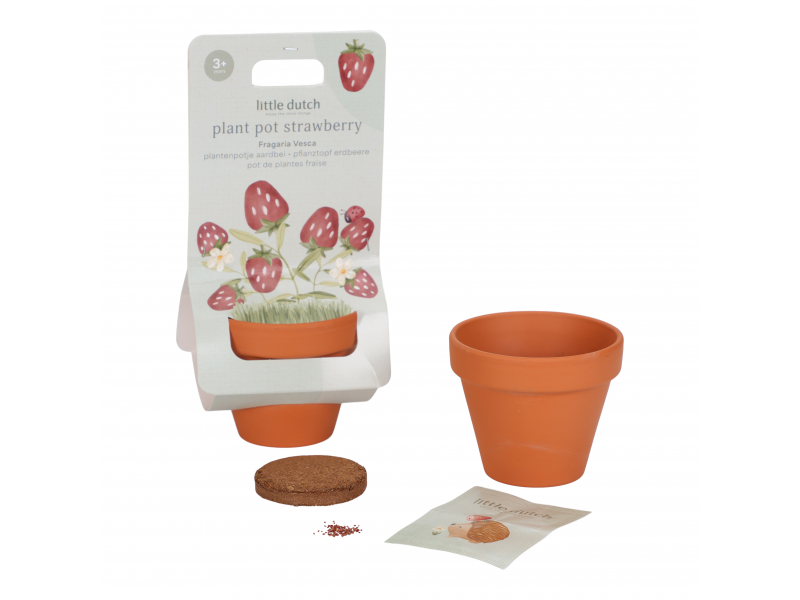 Květináč jahody Forest Friends