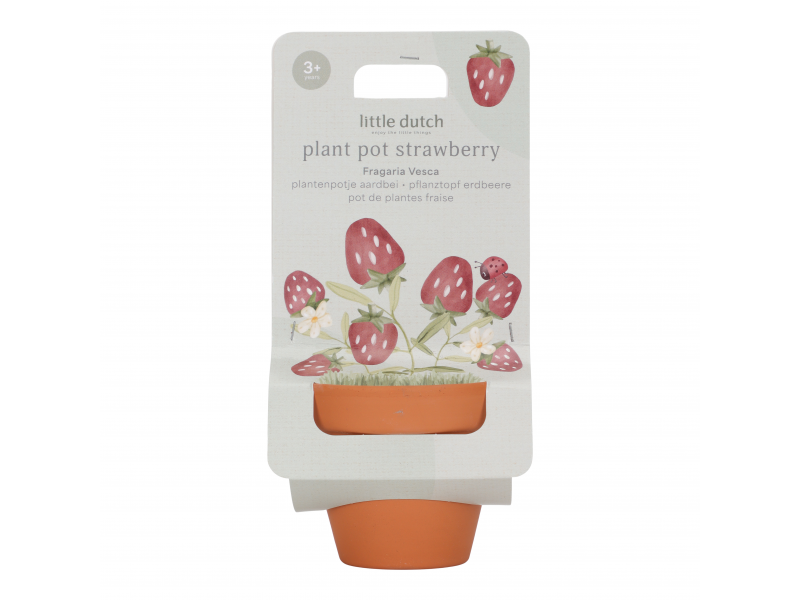 Květináč jahody Forest Friends