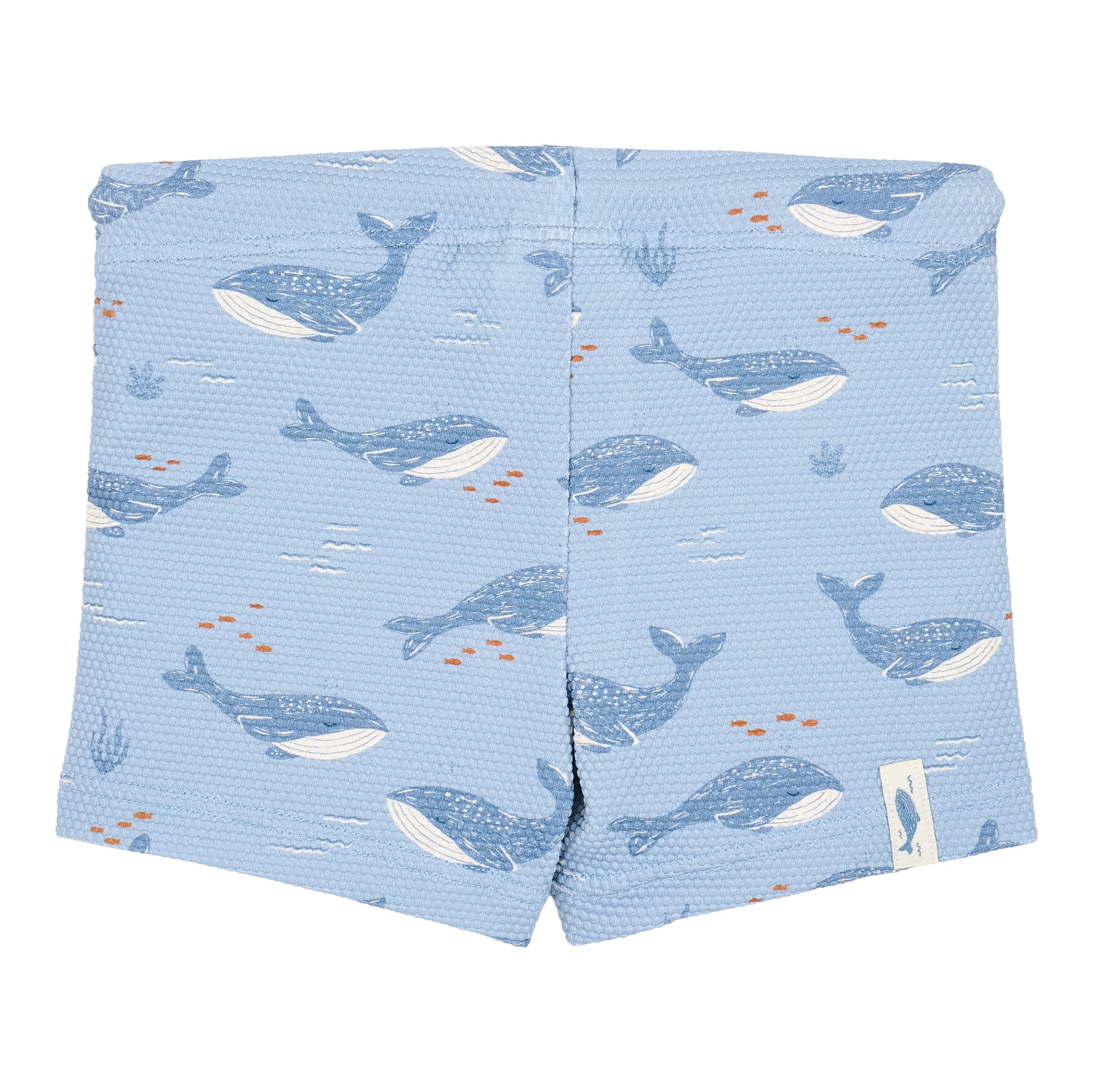 Plavky Ocean Splash vel. 74/80