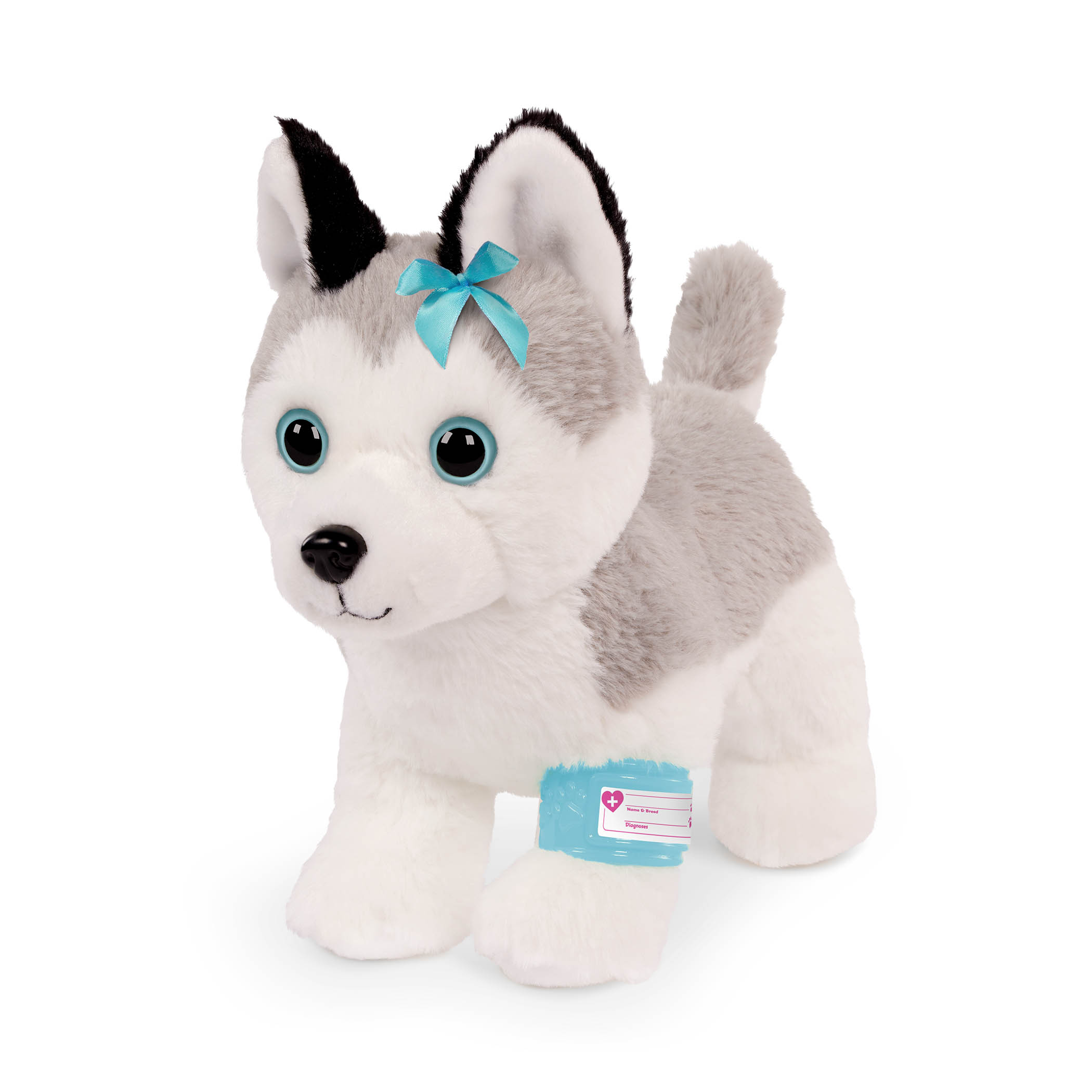 Husky v kabelce s veterinářskou sadou