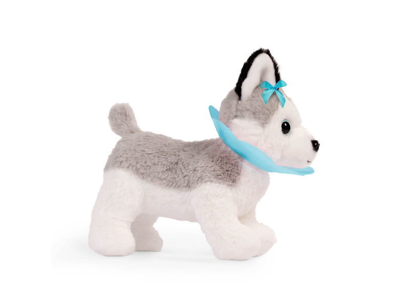 Husky v kabelce s veterinářskou sadou