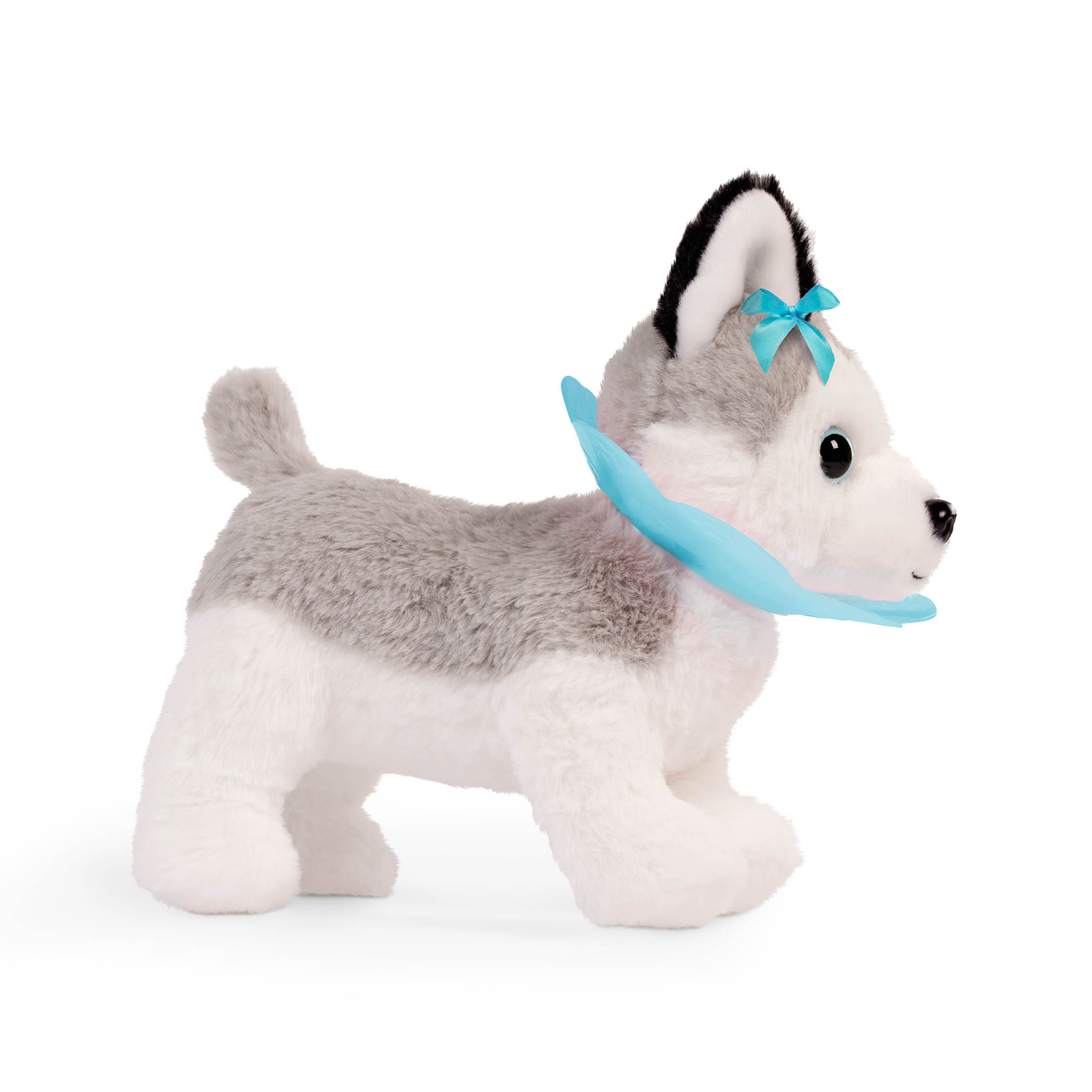 Husky v kabelce s veterinářskou sadou
