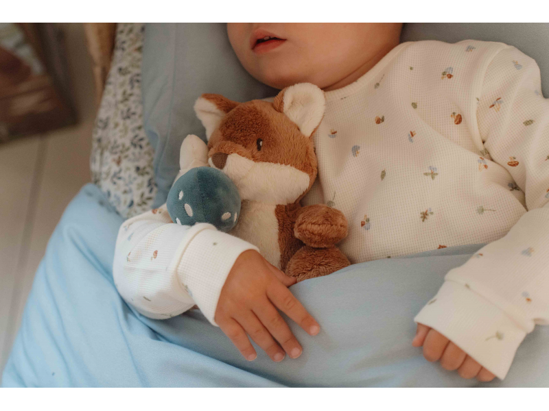 Povlečení 140x100 a 40x60 cm Forest Wonders