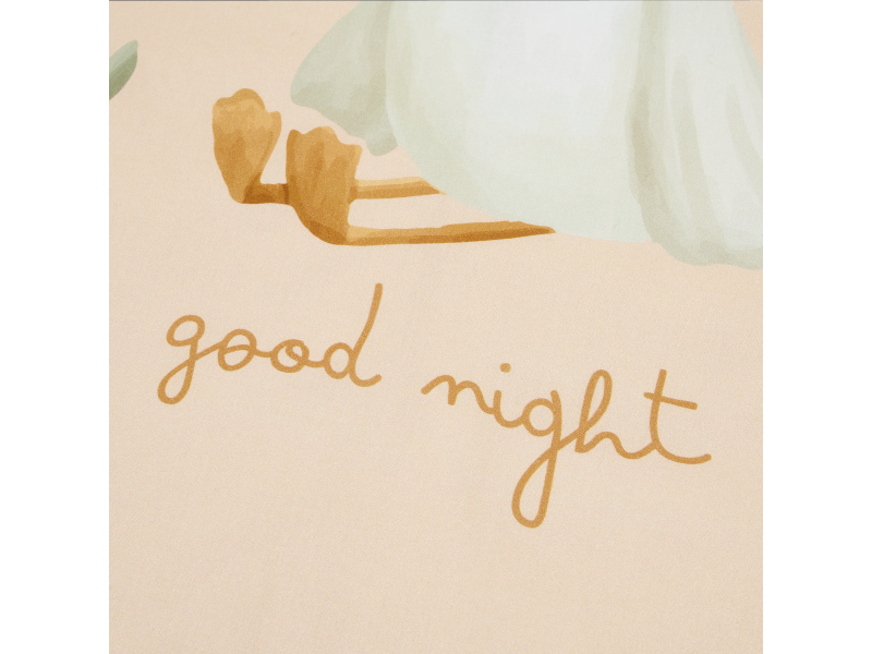 Povlečení 140x100 a 40x60 cm Husa Newborn Naturals