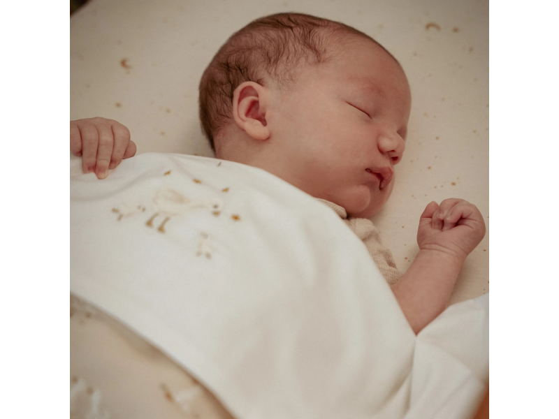 Deka 70x100 cm žerzej / fleece Husa Newborn Naturals