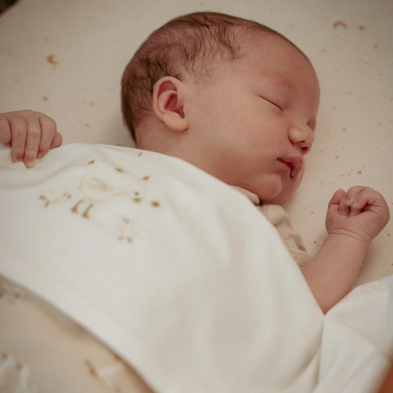 Deka 70x100 cm žerzej / fleece Husa Newborn Naturals