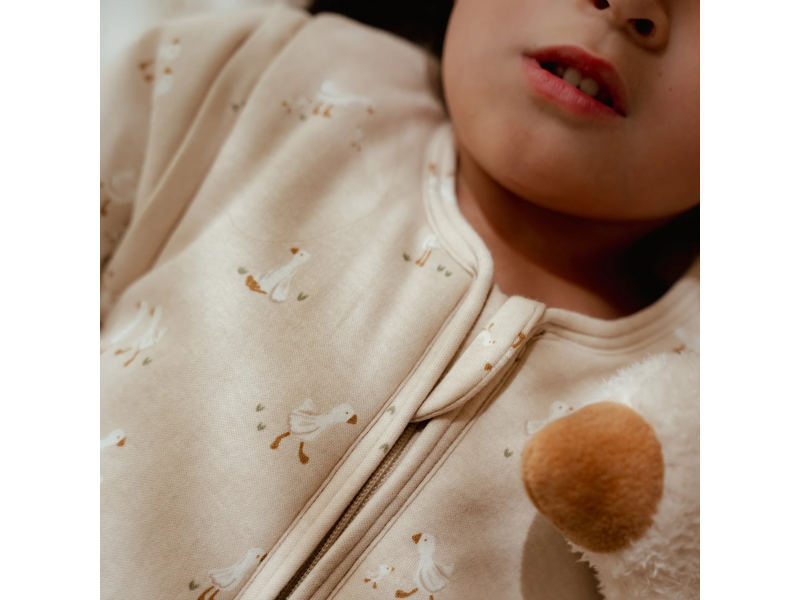 Spací pytel s oddělitelnými rukávy 70 cm Husa Newborn Naturals