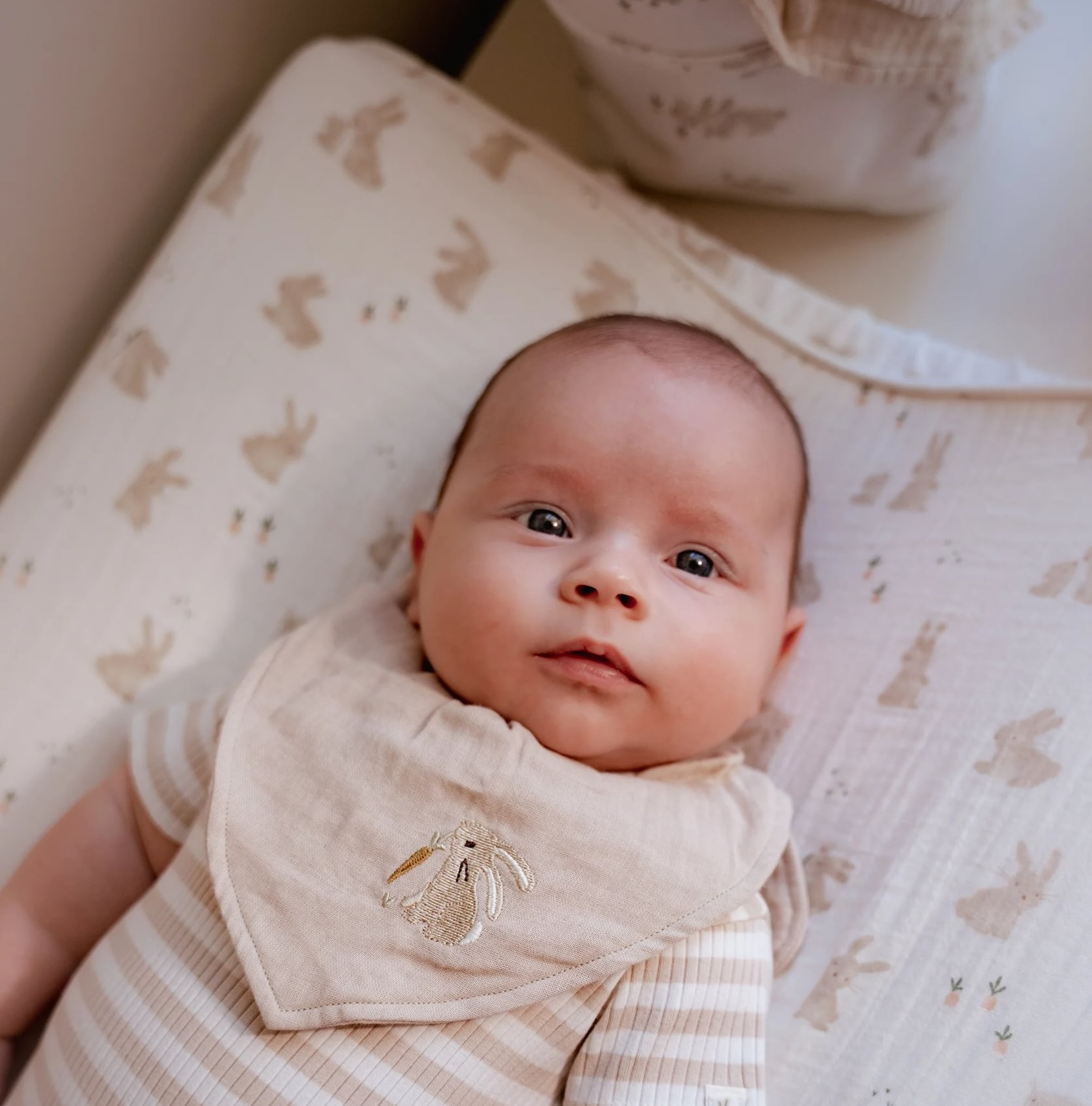 Potah na přebalovací podložku Baby Bunny