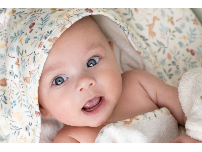 Osuška s kapucí 75x75 cm Forest Wonders