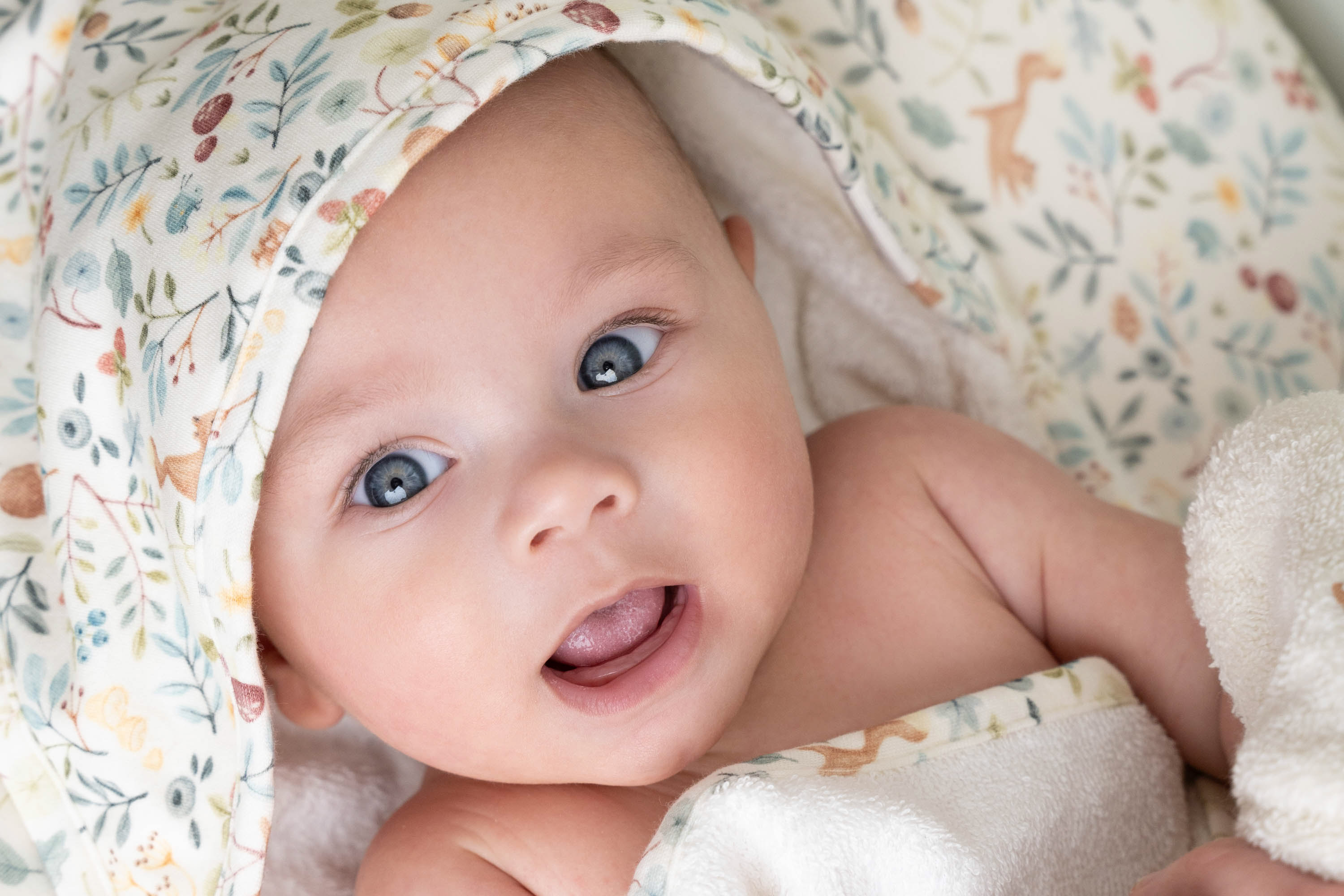 LITTLE DUTCH Osuška s kapucí 75x75 cm Forest Wonders